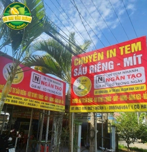 In Tem