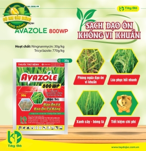 AVAZOLE 800WP