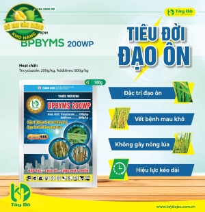  Bpbyms 200WP