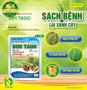 PUVERTIN 650WP – BIMTADO