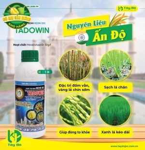 TADOWIN
