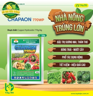 CHAPAON 770WP