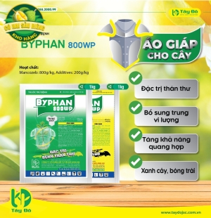  BYPHAN 800WP