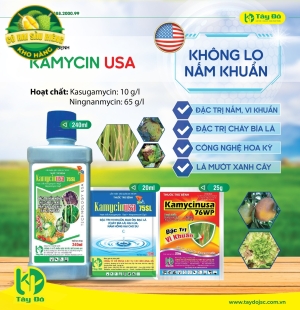 KAMYCINUSA 75SL