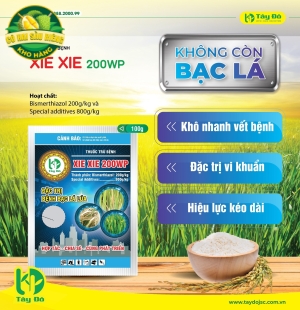 XIE XIE 200WP