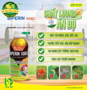 BIPERIN 100EC