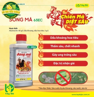 SONG MÃ 63EC