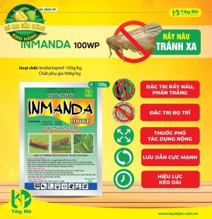 INMANDA 100WP