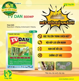  TVDAN 300WP