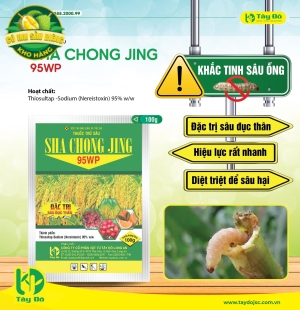 Sha Chong Jing 95WP