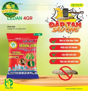  Ledan 4GR