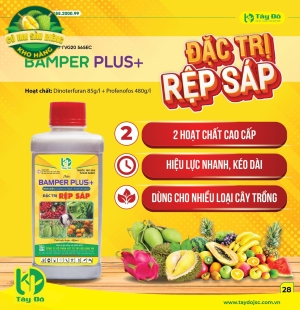 BAMPER PLUS+