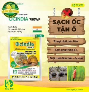 OCINDIA 750WP
