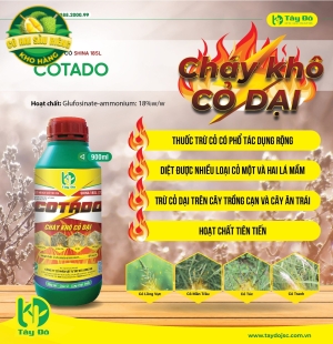 COTADO