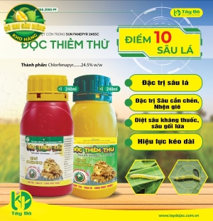 Độc Thiềm Thừ
