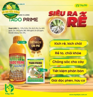 TADO PRIME (SIÊU HẠ PHÈN)