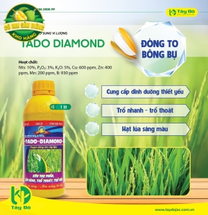  TADO DIAMOND