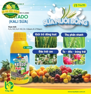 KATADO (Kali sữa)
