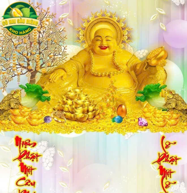 Mẫu Số 7