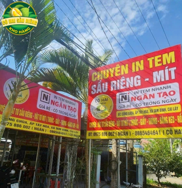 In Tem