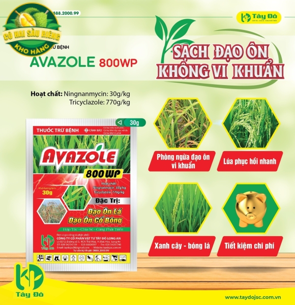 AVAZOLE 800WP