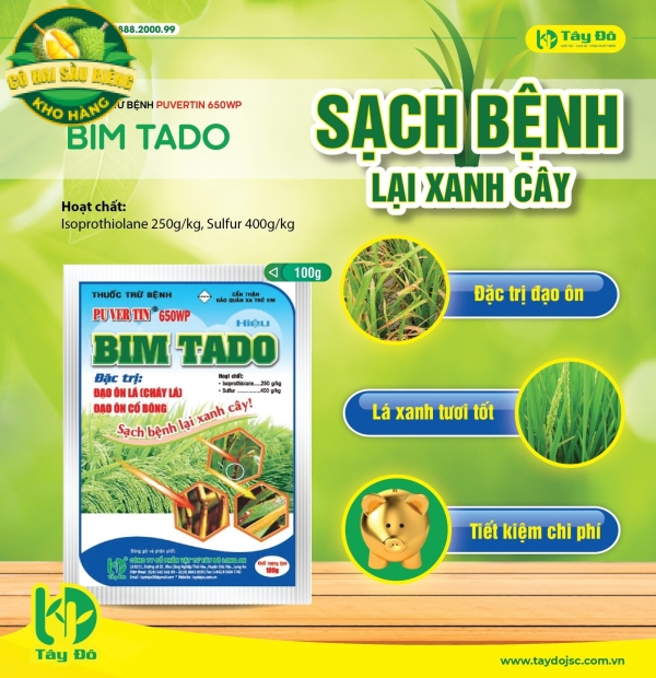 PUVERTIN 650WP – BIMTADO