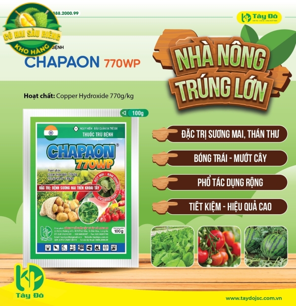 CHAPAON 770WP