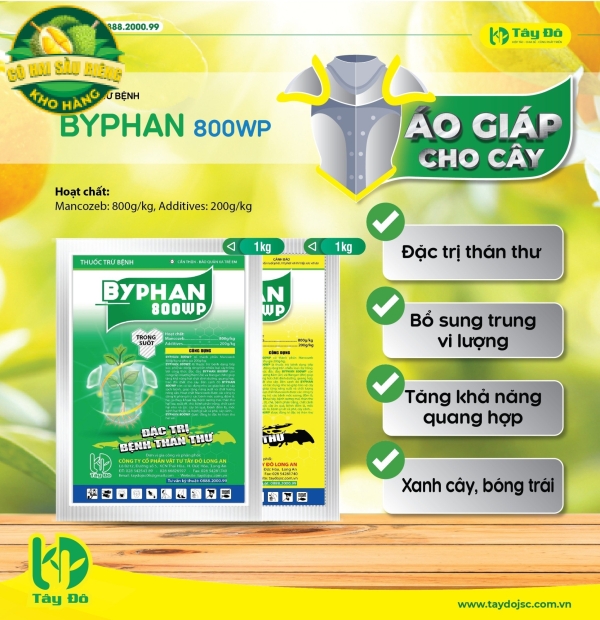  BYPHAN 800WP