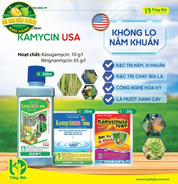 KAMYCINUSA 75SL