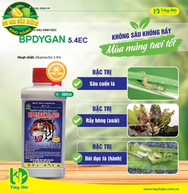 BPDYGAN 5.4EC