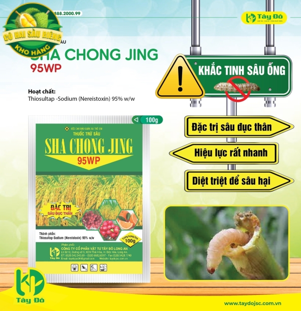 Sha Chong Jing 95WP