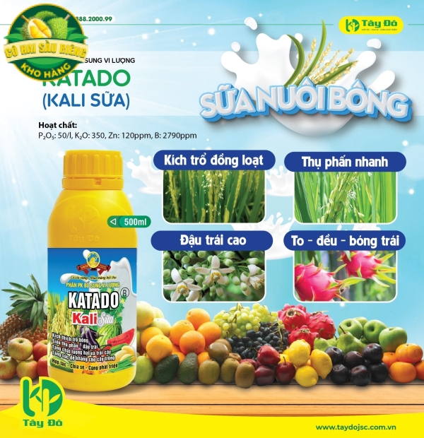 KATADO (Kali sữa)