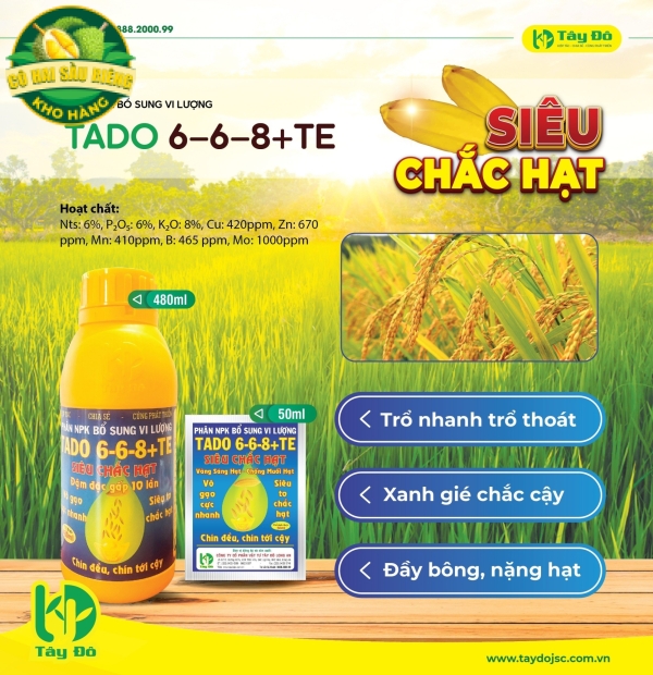 TADO 6 – 6 – 8 +TE